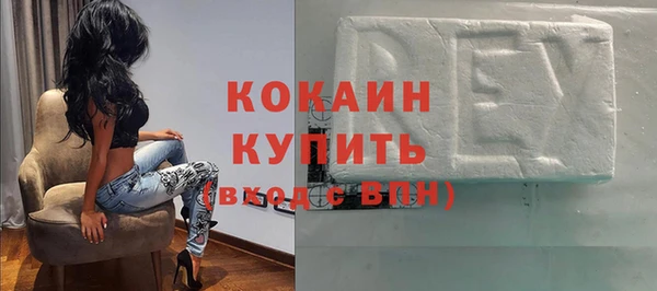 гидра Абаза