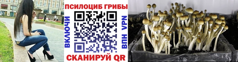 продажа наркотиков  Камень-на-Оби  Галлюциногенные грибы ЛСД 